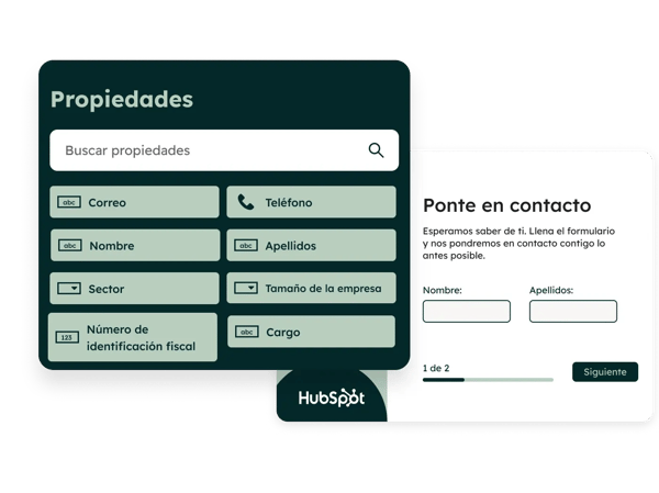 Imagen de propiedades del formulario